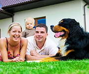 Wenn Hunde nicht allein sein können:  Tipps für weniger Stress