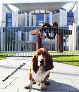 „Hundeshauptstadt Berlin“ in der VIP-Jury bei der Wahl zum Hundeskanzler 2013