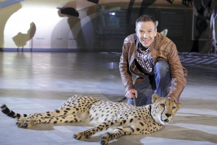 Von tierischen Riesen und Zwergen/
ZDF zeigt zwei neue Folgen „Terra X: Supertiere“ mit Dirk Steffens (BILD)