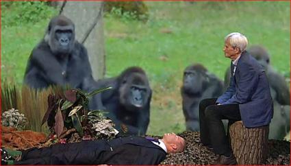 „Stuckrad-Barre“: Grünen-Urgestein Hans-Christian Ströbele entdeckt den Gorilla in sich (BILD)