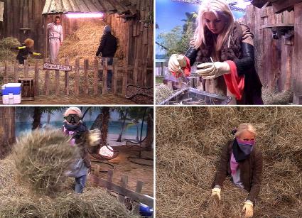 Lagerkoller: Zoff im „Promi Big Brother“-Haus! (BILD)