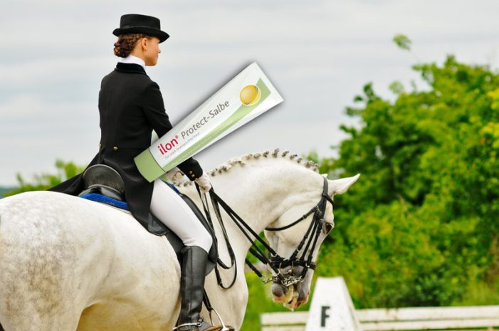 Mensch und Pferd – ein perfektes System!