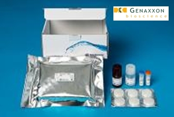 Protein L Ligand Leakage ELISA Kit – Neue Lösung für die Reinheitsbestimmung von Antikörpern